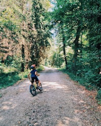 a boy riding a bike down a dirt road in the woods